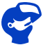 tes